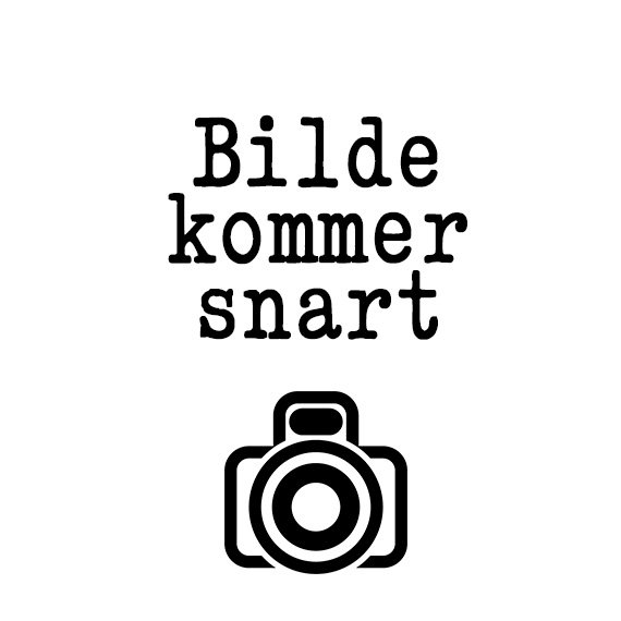 Karbonadesmørbrød m/løk